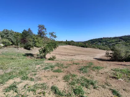 Sremska Kamenica | 4zida.rs