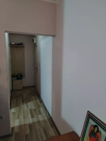 Nemanjina | 4zida.rs