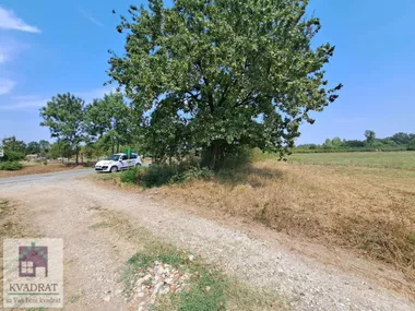 Belo Polje
