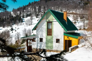 Plešin