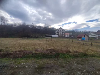 Toše Apotekara | 4zida.rs