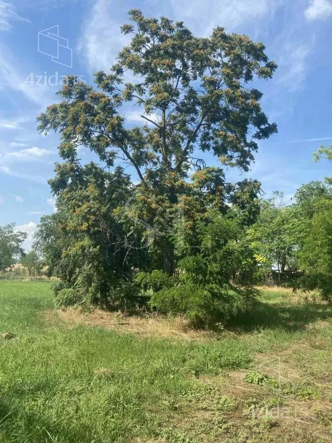 Poljoprivredno zemljište | 4zida