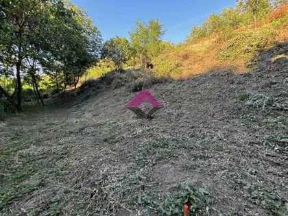 Novosadska | 4zida.rs
