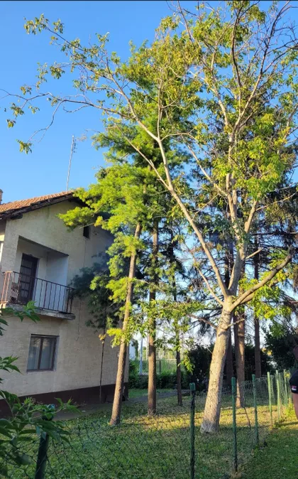 Gradske lokacije | 4zida.rs