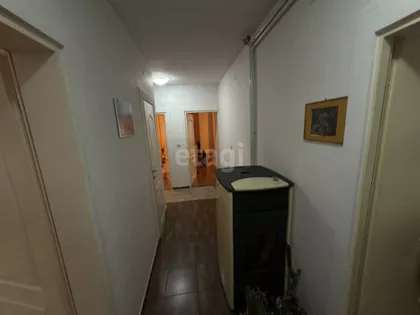 Slaviše Vajnera | 4zida.rs