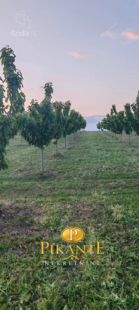 Poljoprivredno zemljište | 4zida