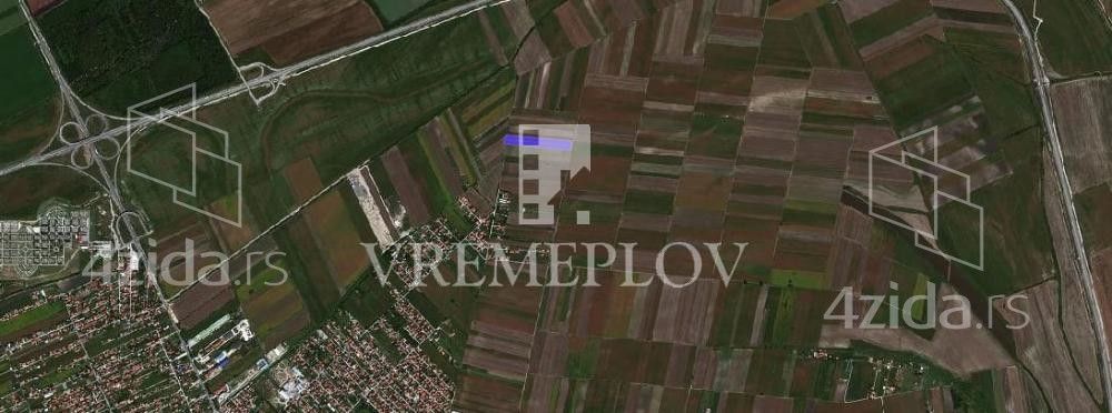 Борка — фото