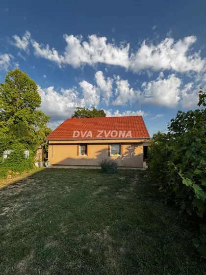 Čortanovci | 4zida.rs
