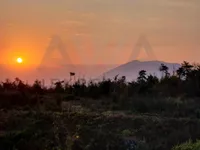 Poljoprivredno zemljište | 4zida