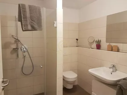 Nova Detelinara | 4zida.rs