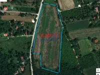 Čerević, Okolne lokacije, Beočin | 4zida.rs