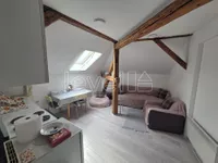 Socijalno, Rotkvarija, Gradske lokacije, Novi Sad | 4zida.rs | 4zida.rs