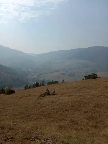 Kraljeva Kosa 6 | 4zida.rs