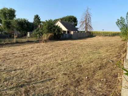Zmajevo | 4zida.rs