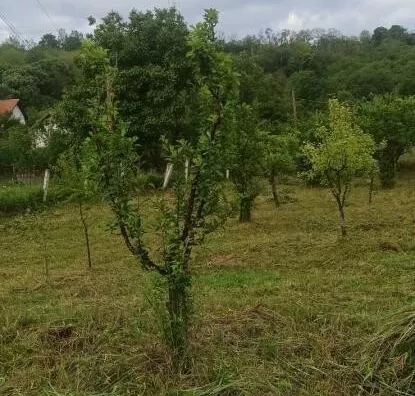 Plac | 4zida