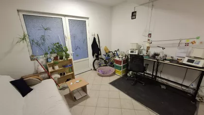 Detelinara | 4zida.rs