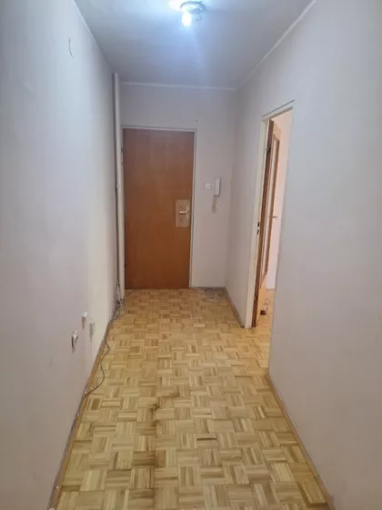Nade Dimić | 4zida.rs