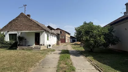 Uče Zekovića | 4zida.rs