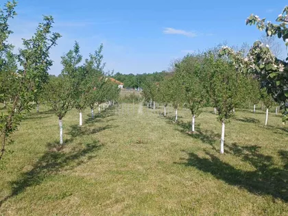Gornjomilanovačka | 4zida.rs