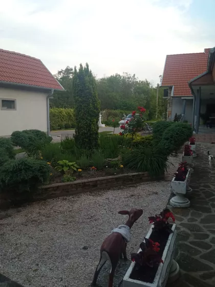 Velika Plana | 4zida.rs