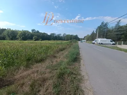 Ravanička | 4zida.rs