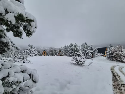 Zaselak Tavanac | 4zida.rs