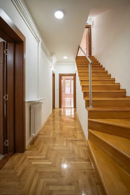 Ulofa Palmea | 4zida.rs