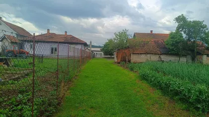 Beloševačka | 4zida.rs