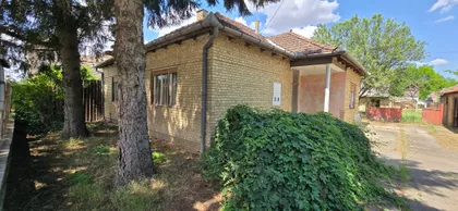 Pačir | 4zida.rs