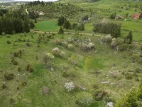 Plac | 4zida