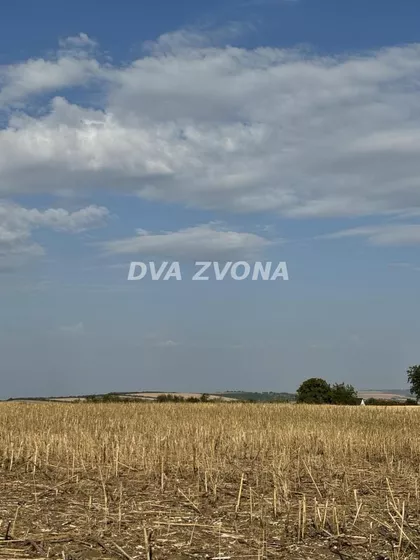 Čortanovci | 4zida.rs