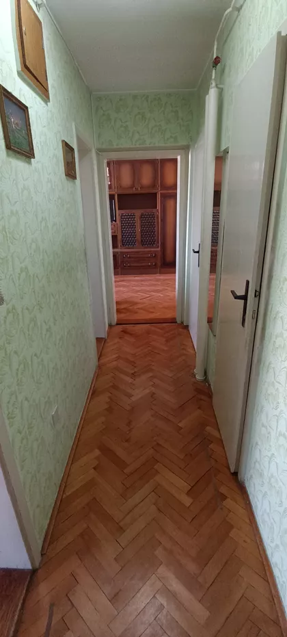 Ruže Šulman 5 | 4zida.rs