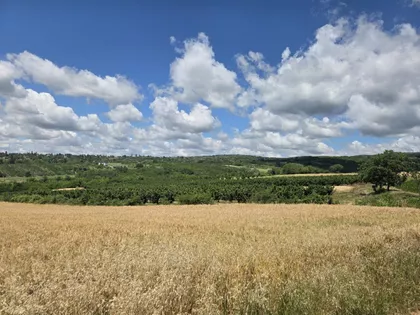 Okolne lokacije | 4zida.rs