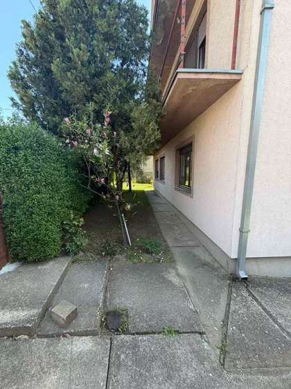 Steve Knićanina | 4zida.rs