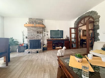 Pere Velimirovića | 4zida.rs