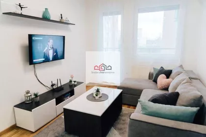 Rotkvarija | 4zida.rs