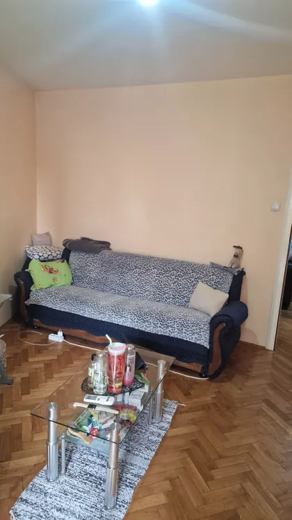 Braće Ribnikar | 4zida.rs