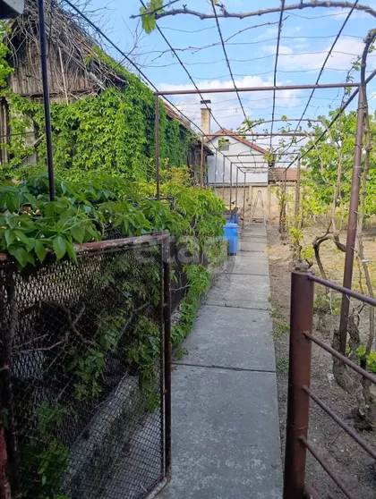 Vase Miskina | 4zida.rs