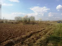Plac | 4zida