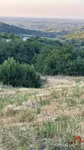 Plac | 4zida