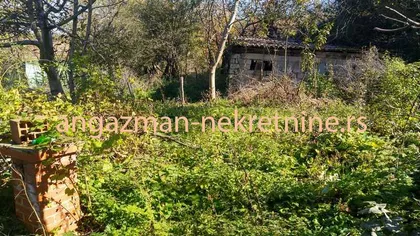 Bačevica | 4zida.rs