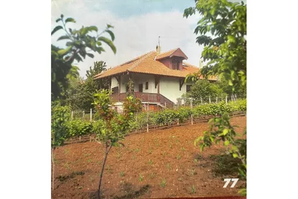 Palih boraca Male Moštanice | 4zida.rs