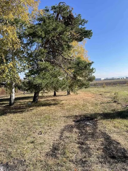 Cerovac | 4zida.rs