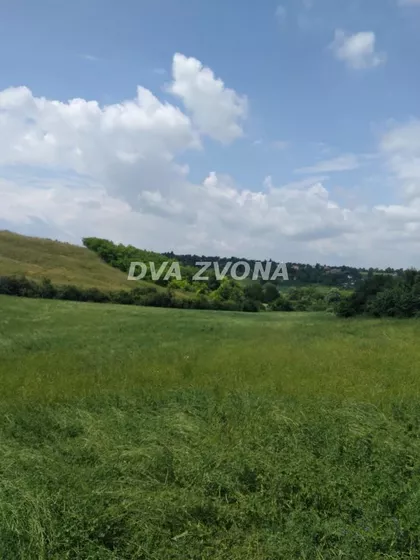 Čortanovci | 4zida.rs