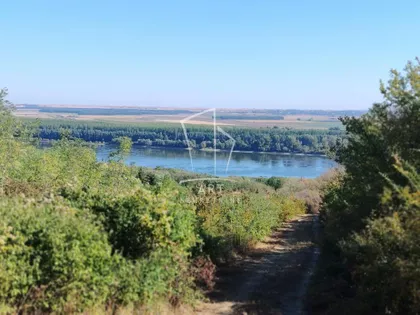Počenta | 4zida.rs