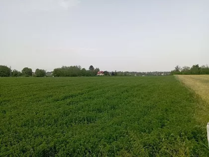 Čortanovci | 4zida.rs