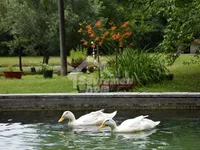 Gradske lokacije, Batočina | 4zida.rs