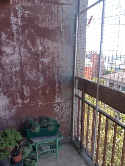 Bulevar Oslobođenja | 4zida.rs