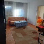 Stara Pazova, Okolne lokacije, Novi Banovci | 4zida.rs | 4zida.rs