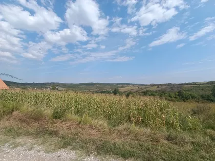 Ravanička | 4zida.rs